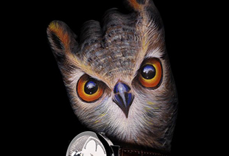 Stern Owl - 2011